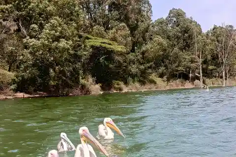 From Addis Ababa: Bisheftu Lake Side Tour