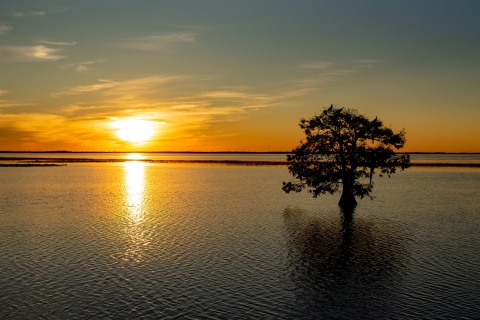 Kissimmee: Bilet na wycieczkę statkiem powietrznym o zachodzie słońca w Boggy Creek Everglades