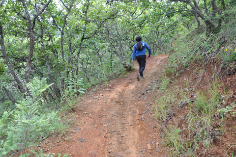 Senderismo en el parque Nacional Benito Juárez
