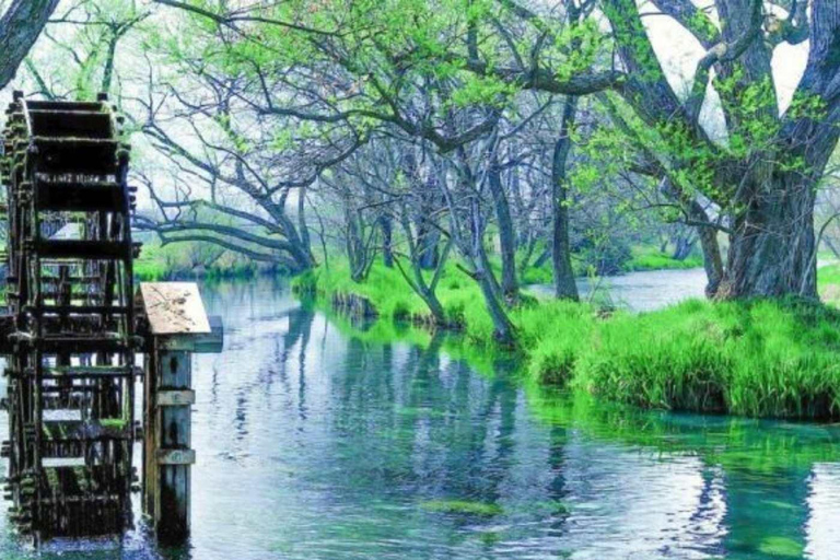 طوكيو جولة خاصة ليوم واحد في حديقة القرود الثلجية ومعبد زينكوجيجولة قرد الثلج ومعبد زينكوجي في سيا