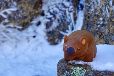 Hobart: MONA, Salamanca Place, Zoo, and Mt Wellington Tour