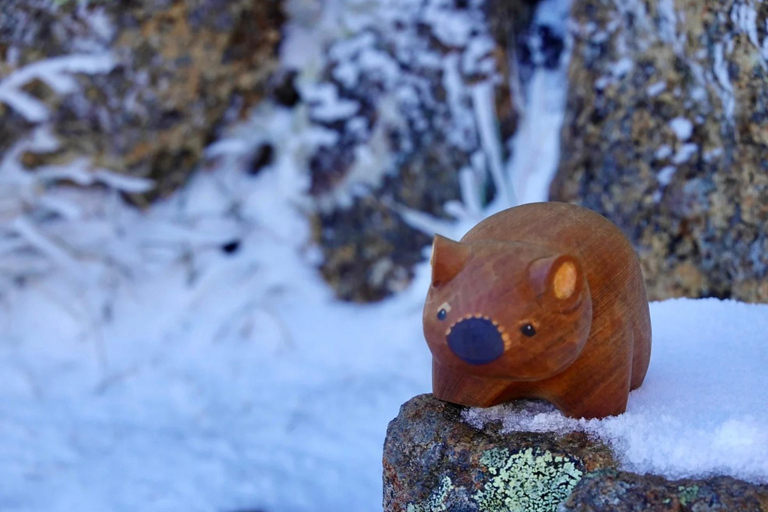 Hobart: Zoo, Museum, and Mount Wellington Day Trip