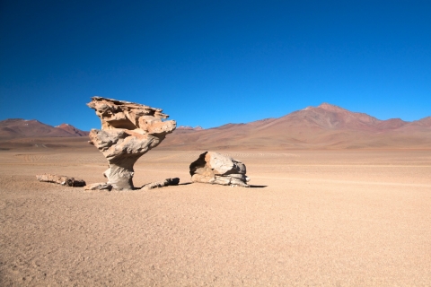 Von Atacama | Salar de Uyuni 4 Tage der größte Salzsee