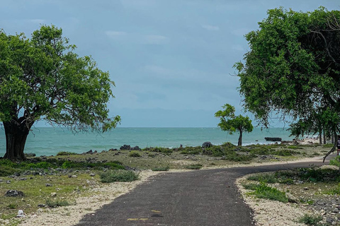 From Colombo: Jaffna Private Transfer with Scenic Stops
