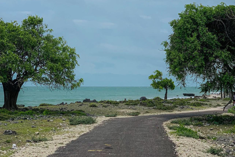 From Colombo: Jaffna Private Transfer with Scenic Stops