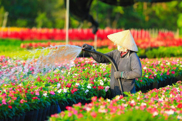 2-Day: The Floating Market - Bird Sanctuary - Flower VillageDeluxe Type - 3* hotel