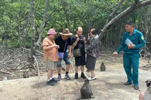Discover Can Gio Mangrove Forest & Monkey Island 1 Day Tour