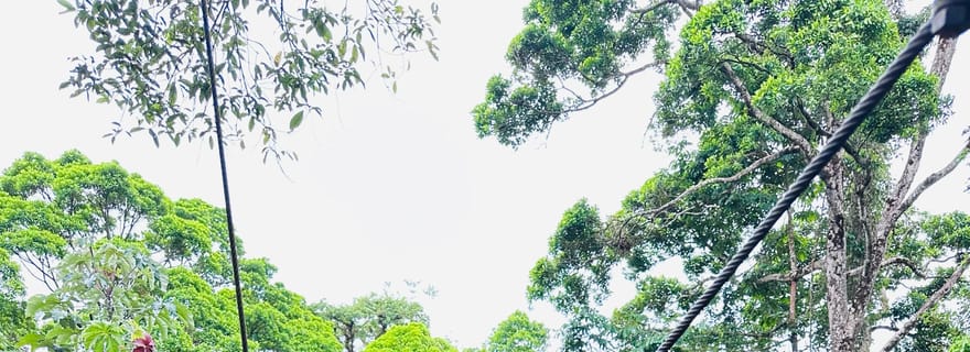 Excursion d'une journée à Rincon Vieja (Volcano Zipline) et aux sources d'eau chaude