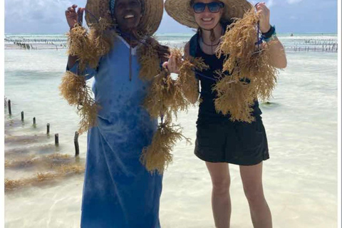 Zanzibar: Seaweed Soap & Cosmetic Making Workshop