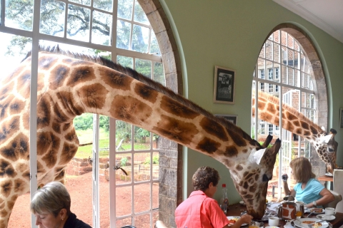 David Sheldrick Elefantenwaisenhaus und Giraffenzentrum Tour