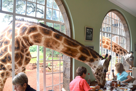 Visite de l'orphelinat d'éléphants et du centre de girafes David Sheldrick