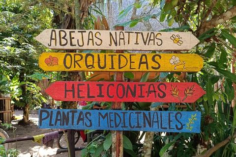 Puerto Maldonado: Ori&#039;Numba Garden &amp; Harakbut Culture TourPuerto Maldonado: Tour del giardino Ori&#039;Numba e della cultura Harakbut