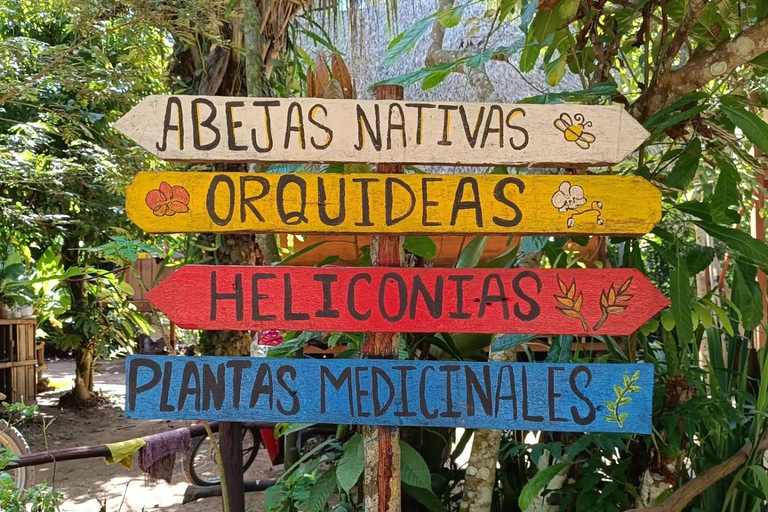 Puerto Maldonado: Ori&#039;Numba Garden &amp; Harakbut Culture TourPuerto Maldonado: Tour del giardino Ori&#039;Numba e della cultura Harakbut