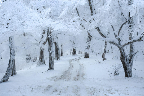 Tbilisi: Sabaduri Forest Siono Lake and Jvari Monastery