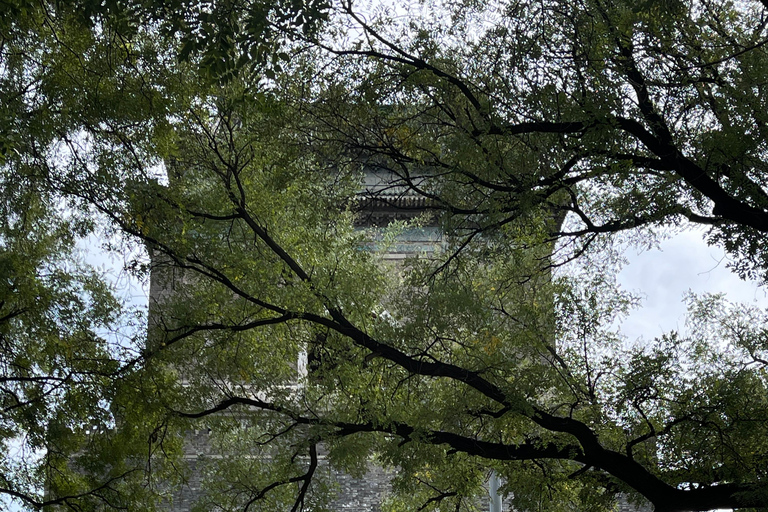 Hutong dell&#039;antica Pechino+Torre del tamburo+Spuntini localiTour a piedi degli Hutong dell&#039;antica città di Pechino