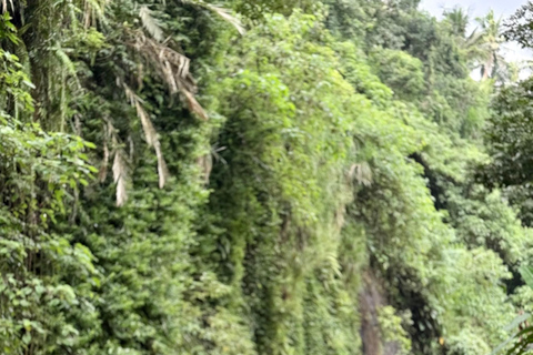 Ubud : Hidden Jungle River Tubing Adventure With Lunch Tubing Adventure with Lunch & Hotel Pickup