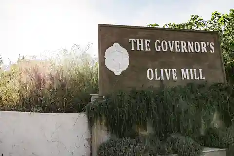Corfu: Olive Oil Experience - The Governor's Olive Mill