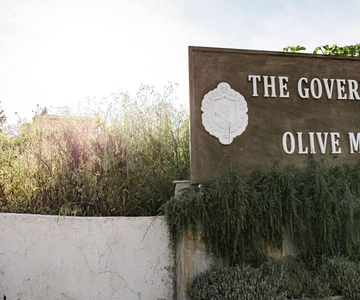 Corfu: Olive Oil Experience - The Governor's Olive Mill