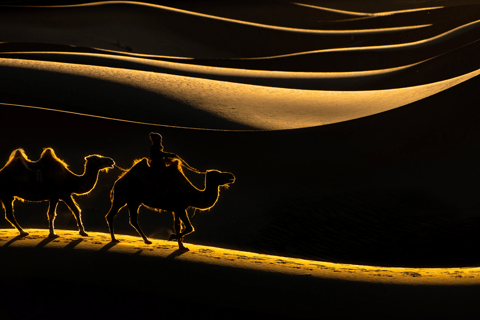 MONGOLIA SOUTH GOBI DESERT: 6 Day Exclusive Private Tour