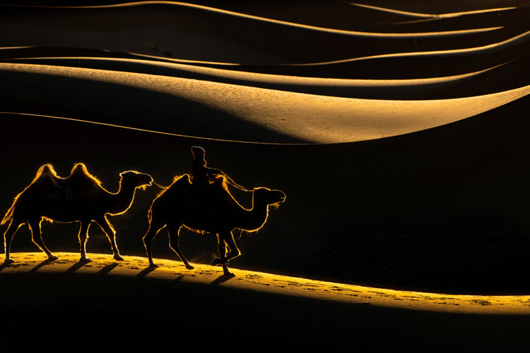 MONGOLIA SOUTH GOBI DESERT: 6 Day Exclusive Private Tour