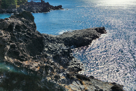 Ilha de Jeju: Excursão de um dia ao sul dos pontos de interesse da UNESCO