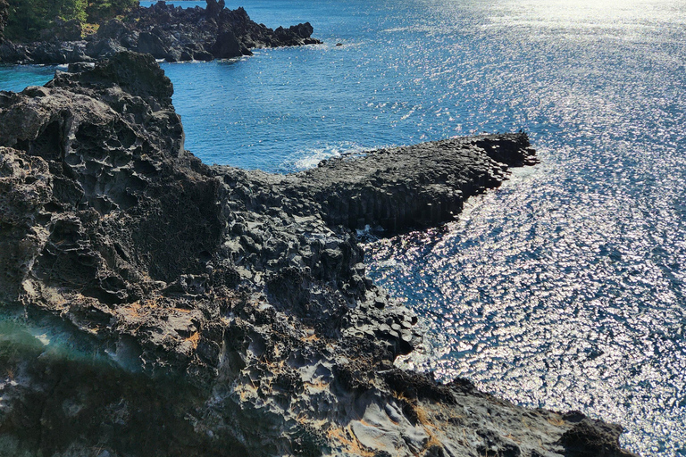 Isola di Jeju: Tour di un giorno dei luoghi UNESCO del sud