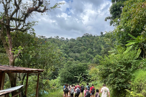Arusha: Materuni Waterfalls, Coffee tour & local lunch Arusha: Materuni waterfalls, coffee tours and local lunch