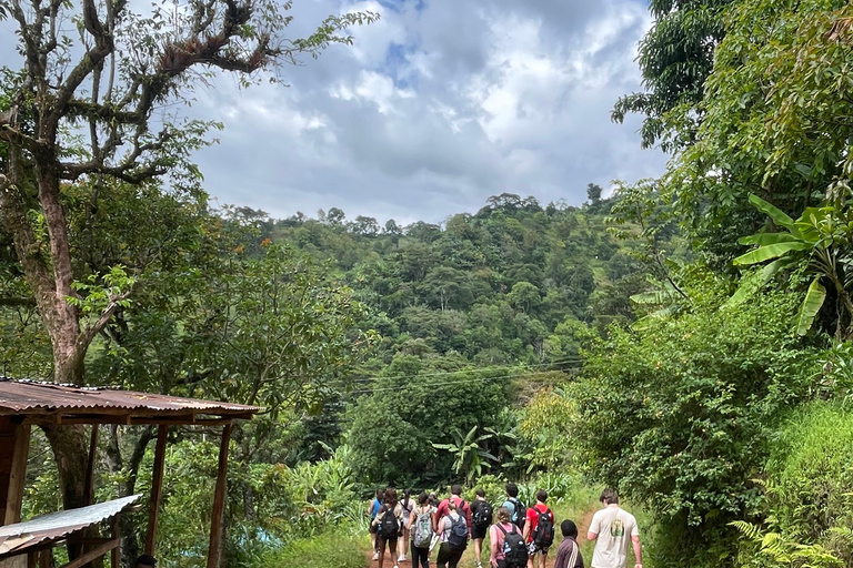 Arusha: Materuni Waterfalls, Coffee tour & local lunch Arusha: Materuni waterfalls, coffee tours and local lunch