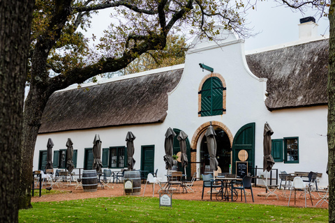 Ogród botaniczny Kirstenbosch i dolina winiarska Constantia