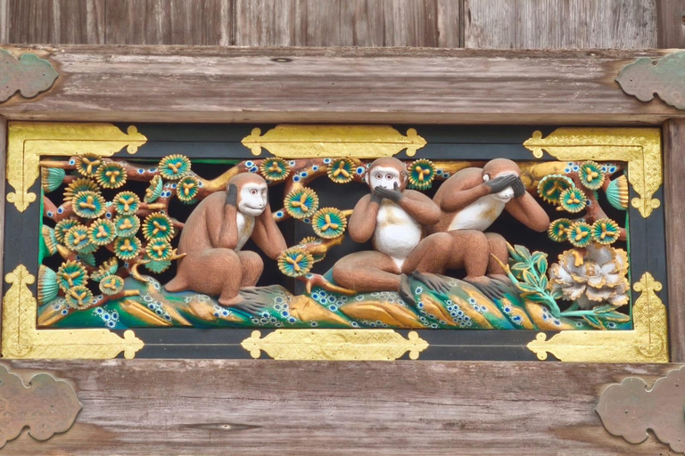 Tokyo: Nikko Private Day Tour with Pickup