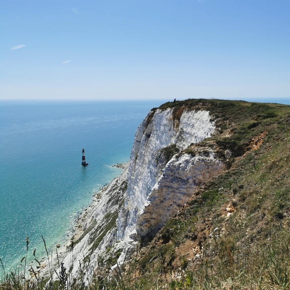 Londra: gita di un giorno alle scogliere bianche di South Downs con biglietti del treno