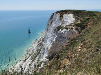 London: Tagesausflug zu den White Cliffs in South Downs mit Zugtickets