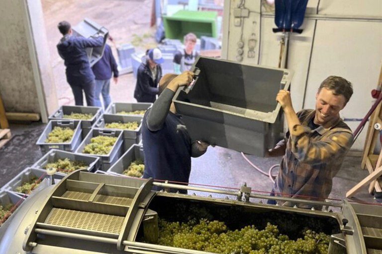 Dégustation et visite de petits vignobles biologiques avec un vigneron