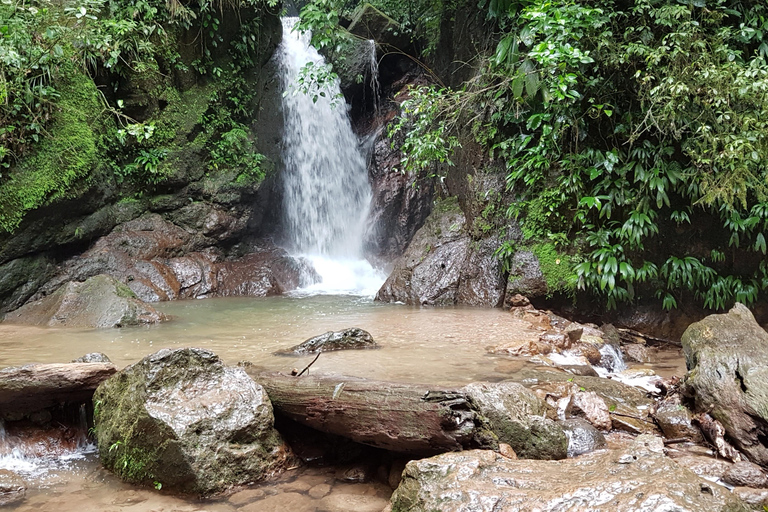 San Pedro Sula: Azul Meámbar National Park Day Trip