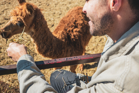 From Santiago: Rancagua Safari Park Zoo