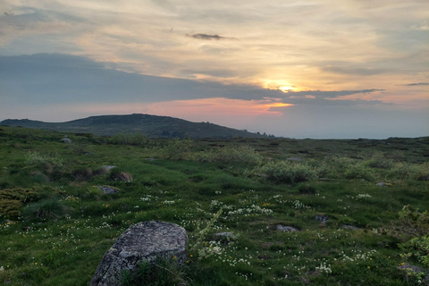 Sofia from above: Vitosha Mountain Private Hike