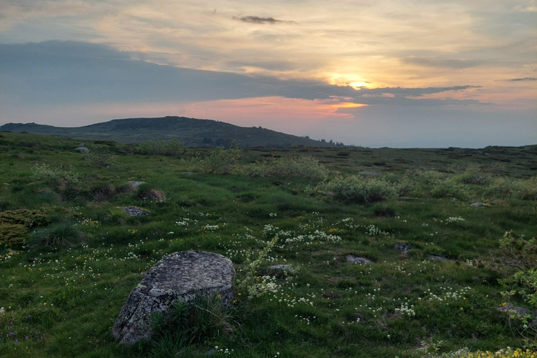 Sofia from above: Vitosha Mountain Private Hike