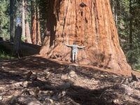 Desde Fresno, Tour del Parque Nacional de Sequoia con traslado y almuerzo - Hizvo