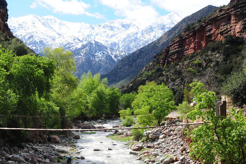 Marrakech: Atlasgebergte, Ourika waterval met gids+lunchGroepsreis