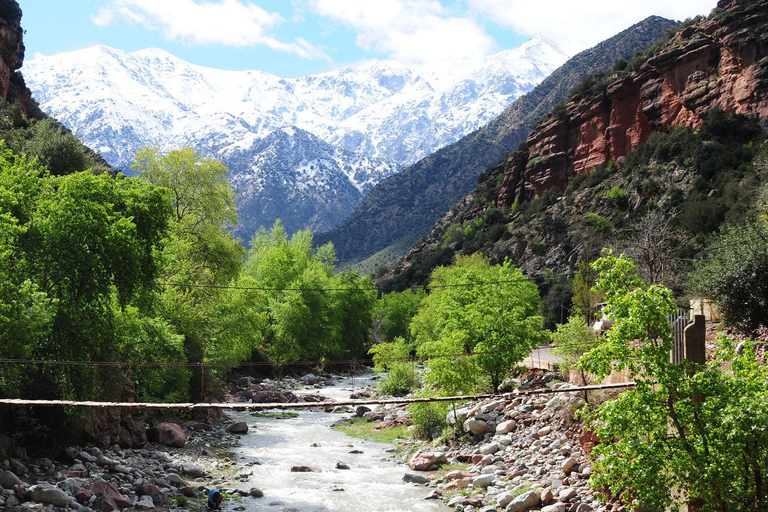 Marrakech: Atlasgebergte, Ourika waterval met gids+lunchGroepsreis