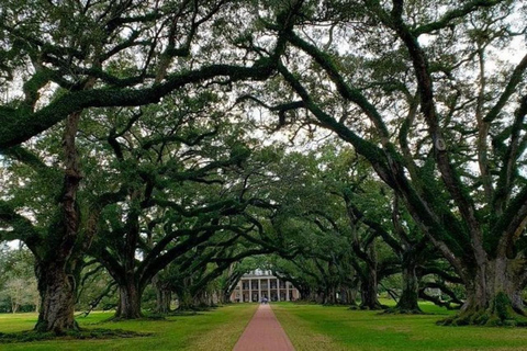 Nueva Orleans: Paseo por el Callejón del Roble y la Plantación Laura con transporte