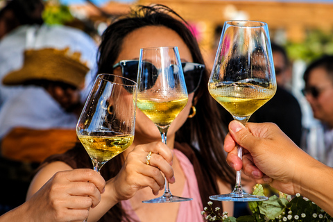 Lagos: Wine Tasting Experience at Local Winery