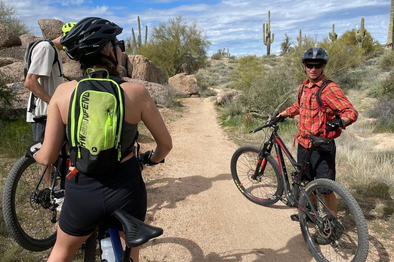 Scottsdale: Geführte Mountainbike Tour durch die Wüste