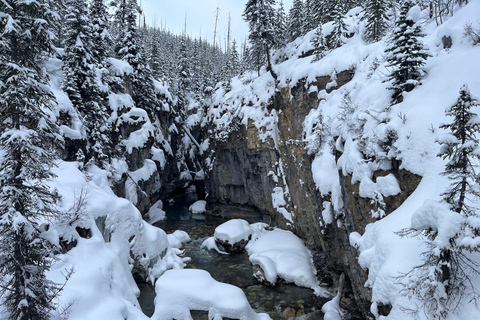Emerald Lake, Wapta Falls, and Takakkaw Falls Tour in Banff