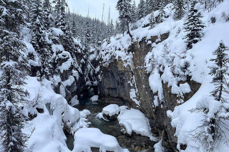Emerald Lake, Wapta Falls, and Takakkaw Falls Tour in Banff