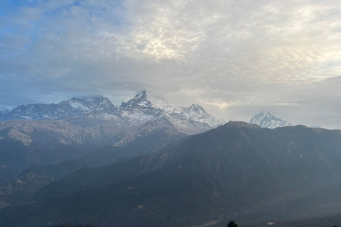 Från Pokhara: 4-dagars Poon Hill Trek med transfer