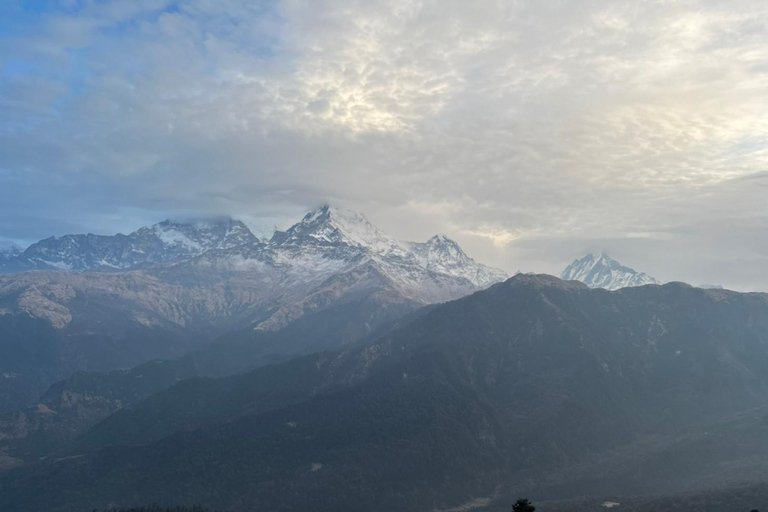 Från Pokhara: 4-dagars Poon Hill Trek med transfer