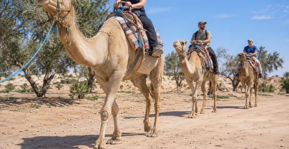 Monastir: Tunisian Countryside Camel Safari, Food & Zoo