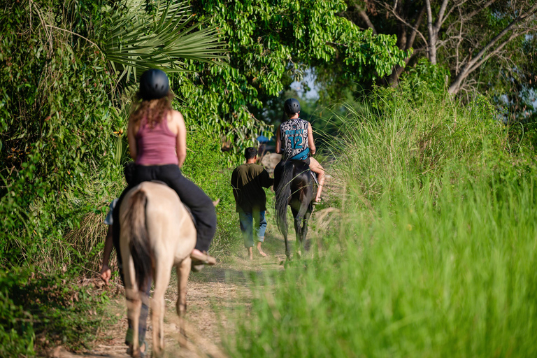 Siem Reap: Horseback Ride with Tour Guide at Phnom Krom (1 hour) Horseback Ride with Tour Guide