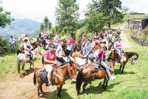 Visite de Cabalgata